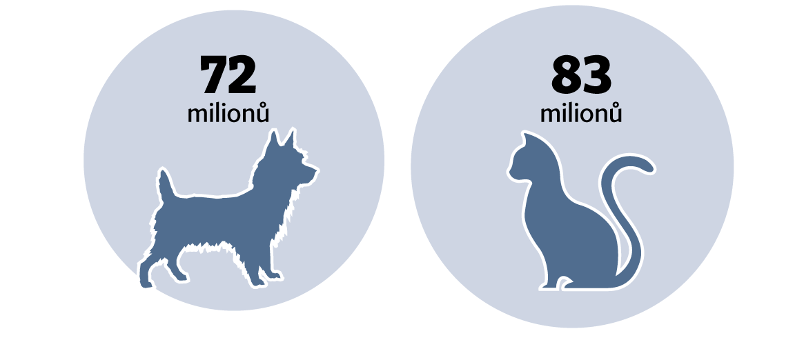 06 Llivot se zviL TM aty EU (Foto: Economia) 06 Llivot se zviL TM aty EU